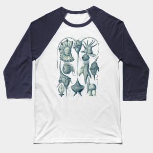 Ernst Haeckel Peridinea Plankton Baseball T-Shirt